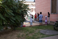 DSC03807_1